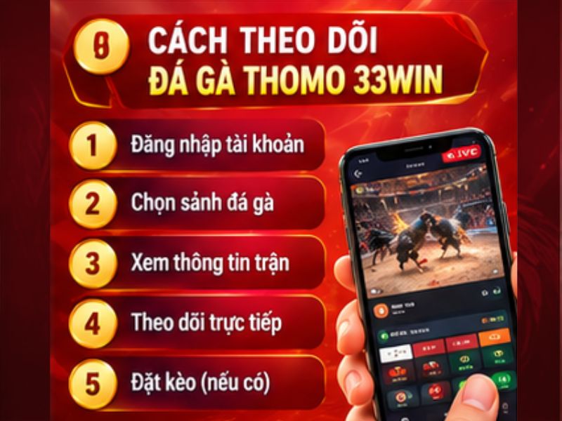 Cách Theo Dõi Đá Gà Thomo 33WIN