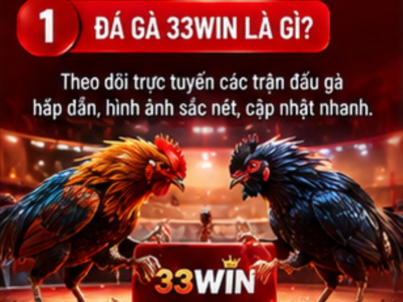 Đá gà trực tuyến 33WIN là gì?