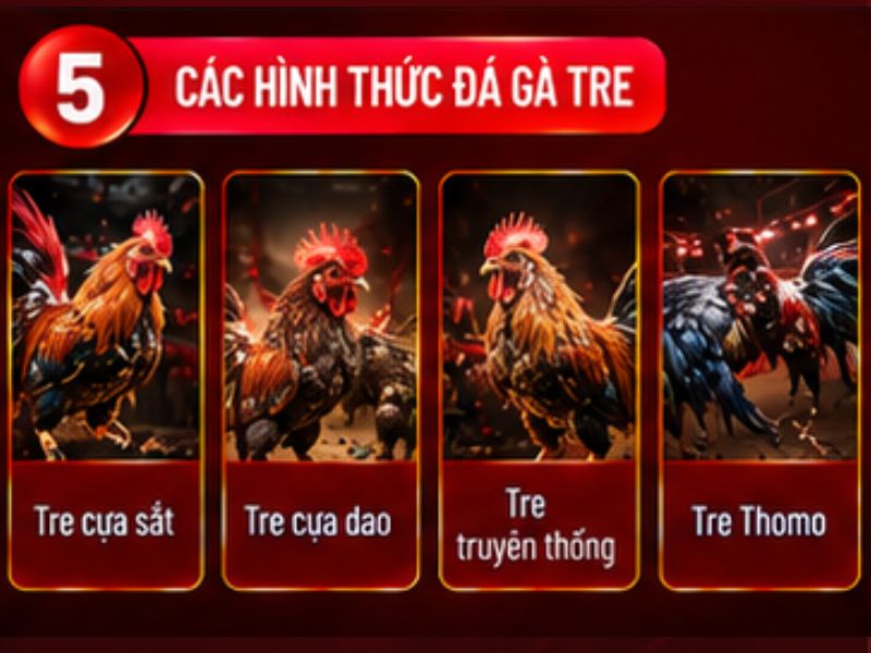 Các hình thức đá gà tre thường gặp