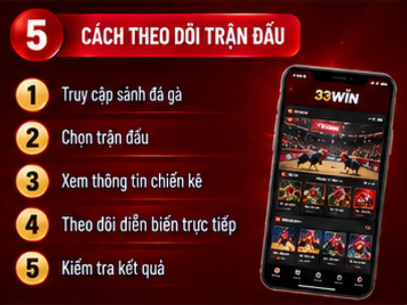 Cách theo dõi đá gà cựa sắt 33WIN