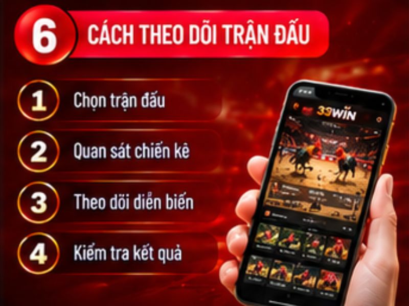 Cách theo dõi một trận đá gà tre 33WIN