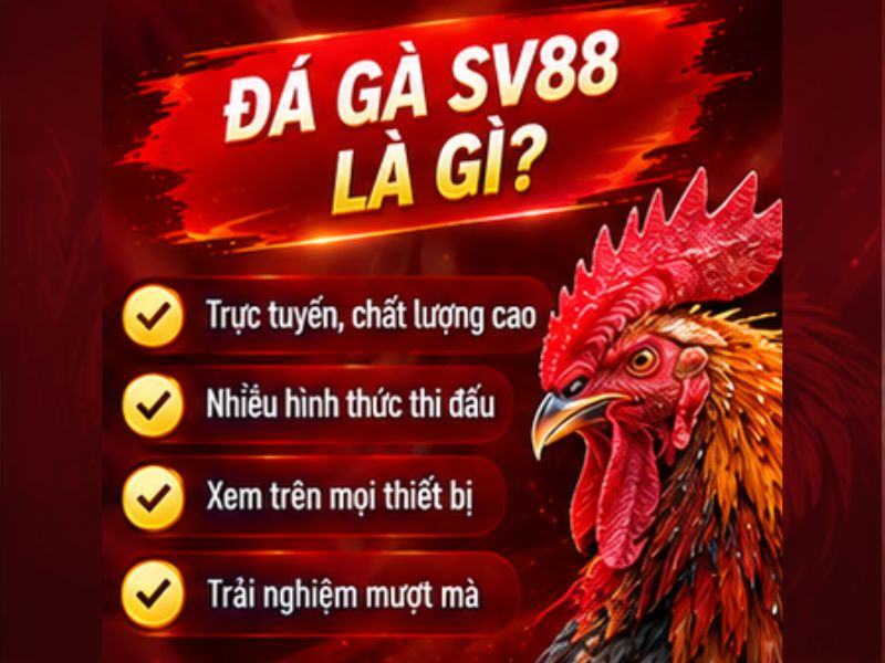 Đá Gà SV88 Là Gì?