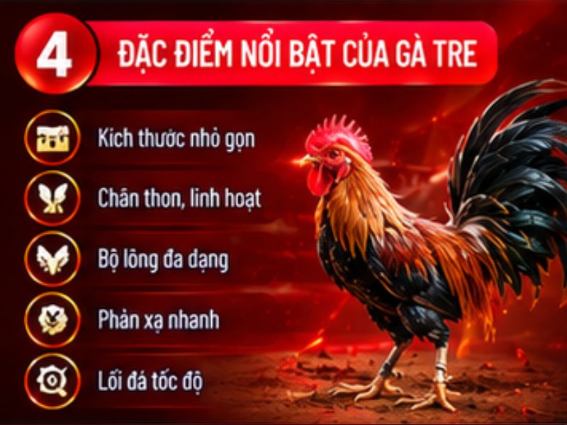 Đá gà tre 33WIN có gì khác biệt