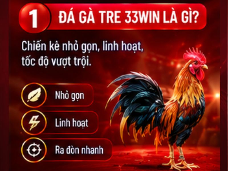Đá gà tre 33WIN là gì