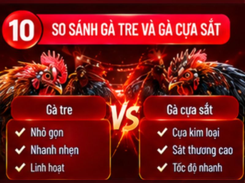 Đá gà tre và đá gà cựa sắt khác nhau như thế nào