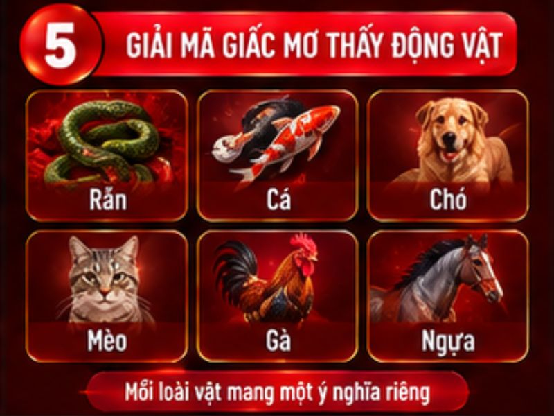 Giải mã giấc mơ thấy động vật