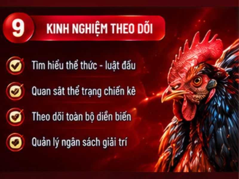 Kinh nghiệm theo dõi đá gà cựa sắt 33WIN