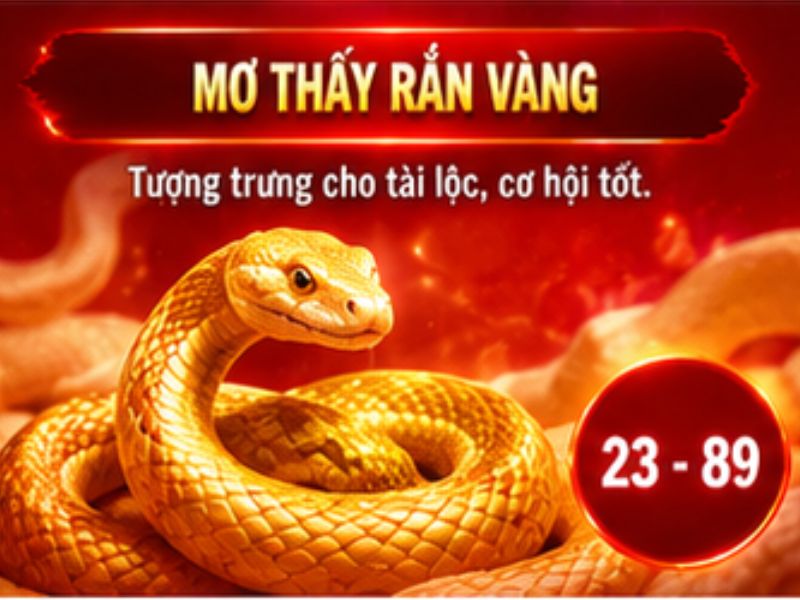 Mơ thấy rắn vàng