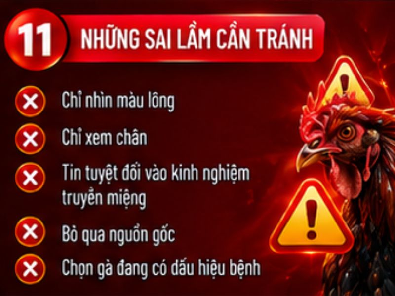 Những sai lầm khi lựa gà đá