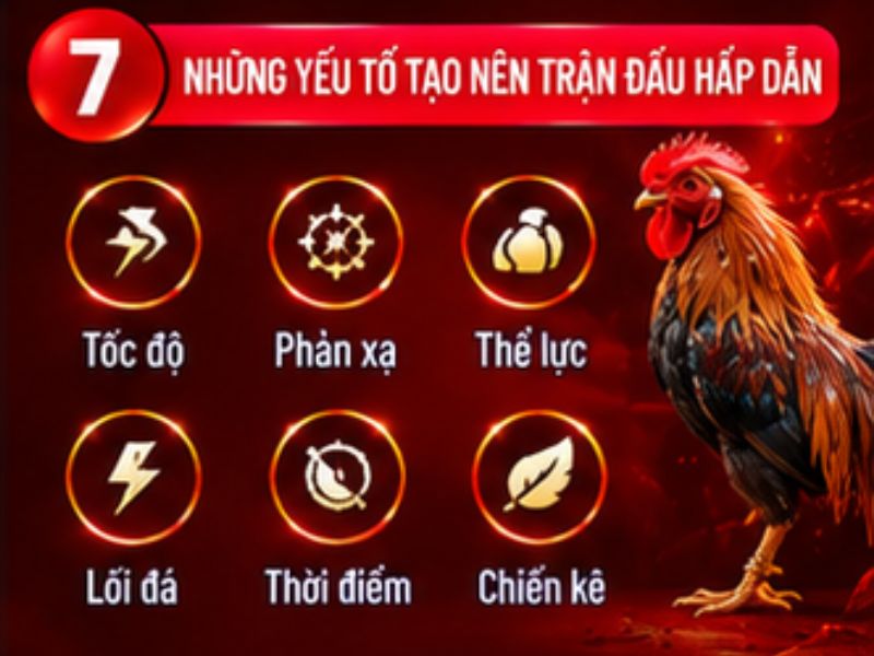 Những yếu tố tạo nên một trận đá gà tre hấp dẫn