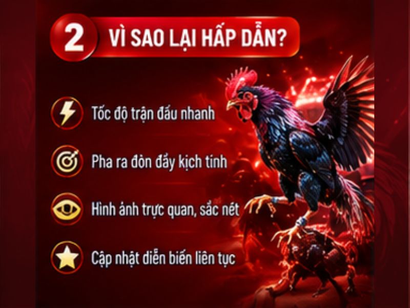 Vì sao đá gà cựa sắt 33WIN thu hút người theo dõi