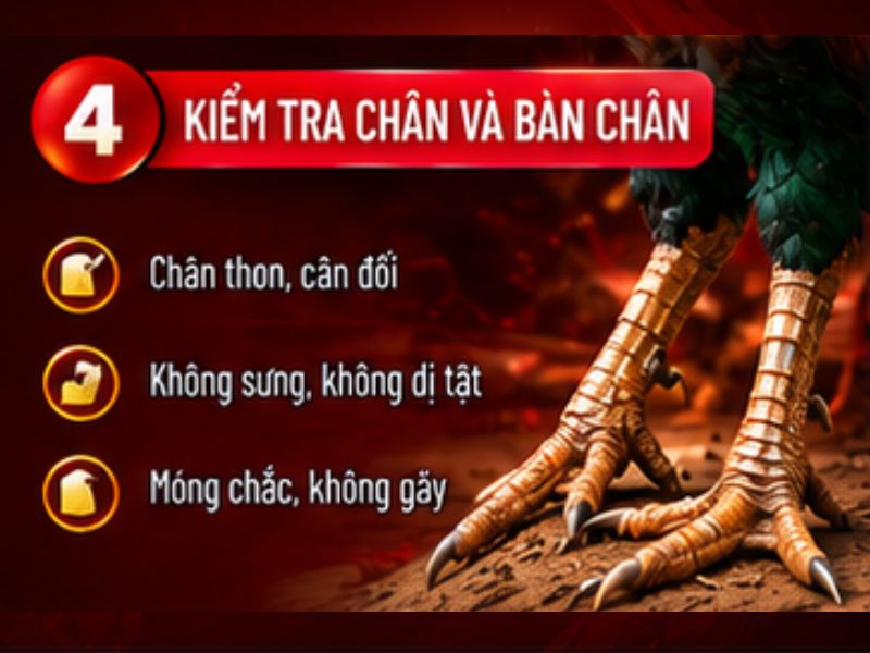 Xem chân và bàn chân
