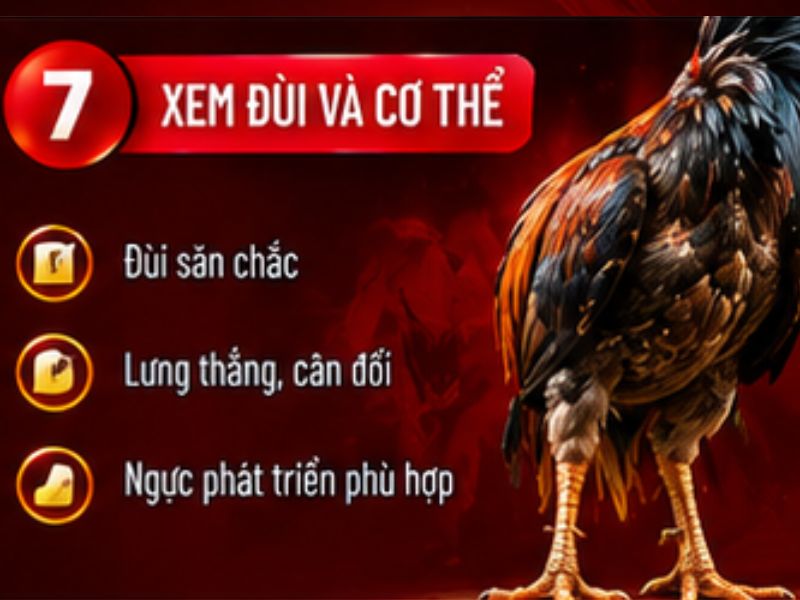 Xem phần đùi và cơ thể